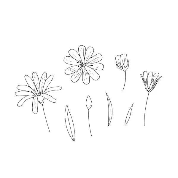 Διάνυσμα Σύνολο Απομονωμένων Διάρθρωσης Λουλούδια Άσπρο Φόντο Floral Διάνυσμα Στοιχεία — Διανυσματικό Αρχείο