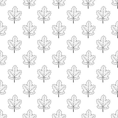 Vektör seamless modeli anahat üzüm yaprakları.
