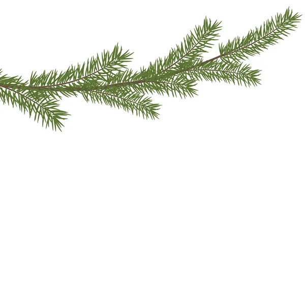 Branche Arbre Noël Dans Coin Branche Sapin Vert Vecteur Réaliste — Image vectorielle