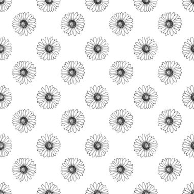 El çizilmiş papatyalar ile vektör dikişsiz desen.