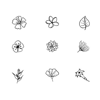 Vektör el tropik çiçekler çizilmiş. Tropik çiçekler seti.