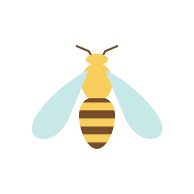 Bal arısı vektör illüstrasyon. Düz tasarım.