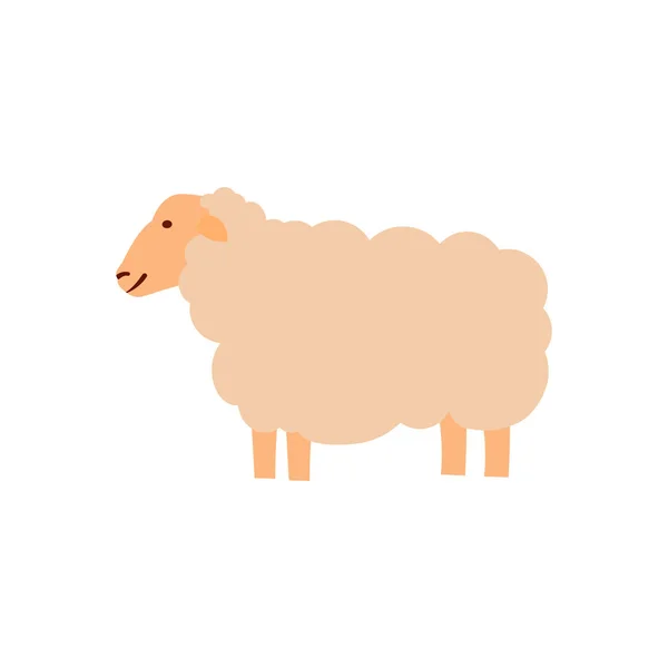 Illustration vectorielle des moutons. Illustration vectorielle animale . — Image vectorielle