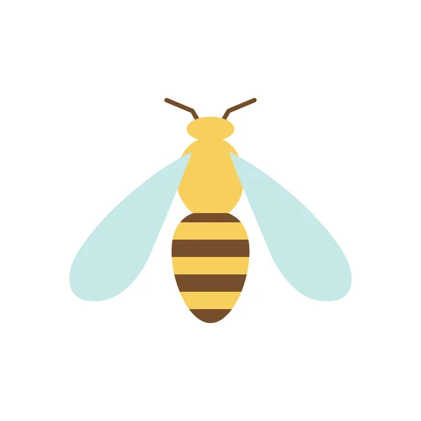 Vector illustration of honey bee. Flat design. — Stock Vector