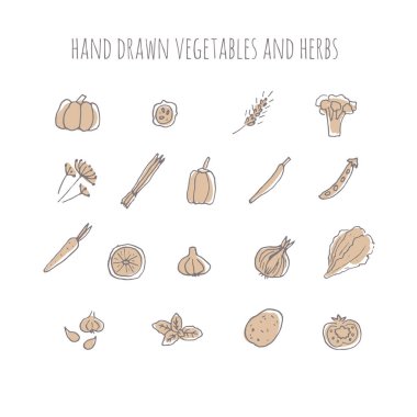 Vektör el sebze ve bitki çizdi. El çizilmiş simgeler