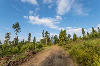 Dağdaki mavi gökyüzü Beskid Sdecki, Polonya