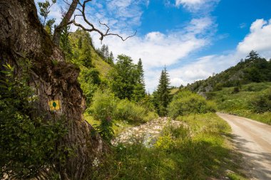 Çok güzel bir dağ yolu Beskid Sdecki.
