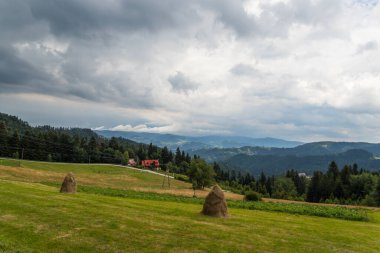 Dağ manzarası, güzel yeşillik.