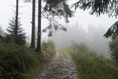 Sisli taş dağ yolu