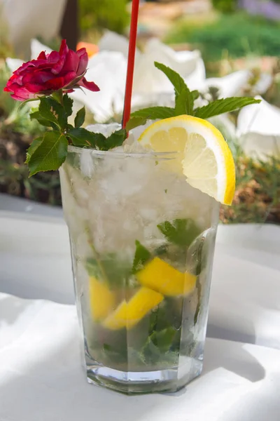 Açık Hava yakın bar mojito ayakta kadar sayaç