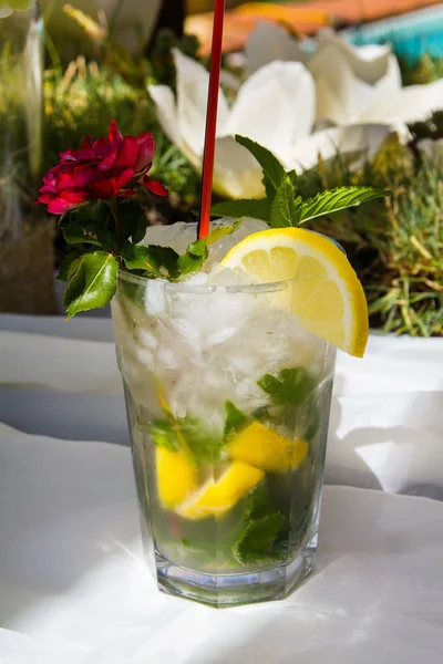 Açık Hava yakın bar mojito ayakta kadar sayaç