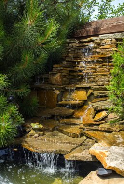 Yaz arka bahçe güzel alp slayt tasarım şelale