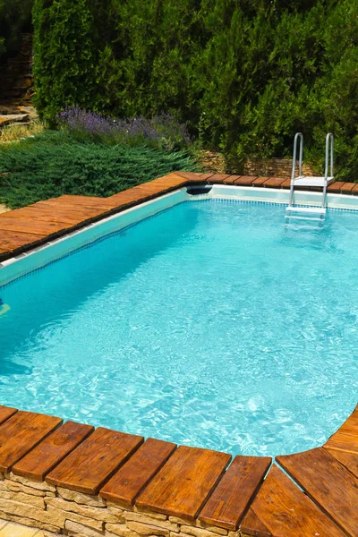 Açık hava yüzme havuzu turkuaz su ve zemin üzerine yeşil selvi