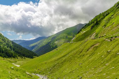 transfagarasan yol serpantin güzel yaz görünümü