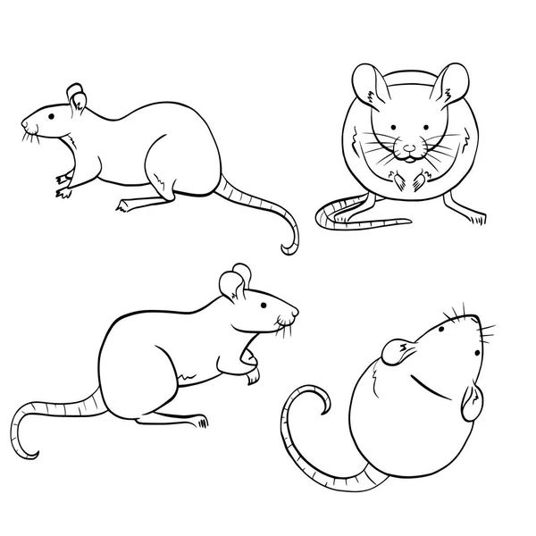 Sketches Rats White Background Set Different Simple Rats — Stock Vector