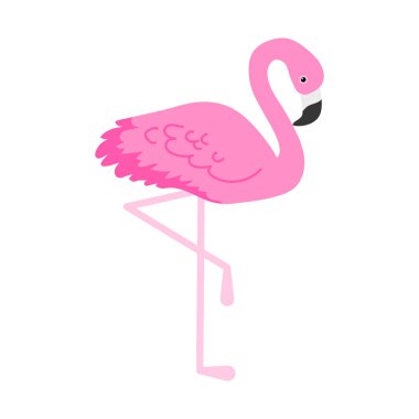 Flamingo veya tropikal kuşlar illüstrasyon parti kartı için. Yaz egzotik arka plan. Vintage şirin tatil seti.