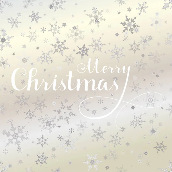 Merry Christmas vector lettering with silver snowflakes background. — Stock Vector