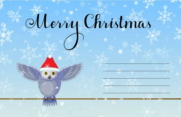 Christmas Greeting Card Cute Silver Grey Owl Wear Red Hat — Stock Photo, Image