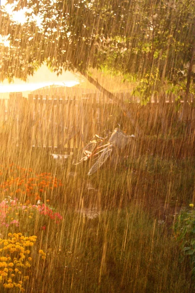 Árvores Flores Caminho Cerca Sob Chuva Ensolarada — Fotografia de Stock