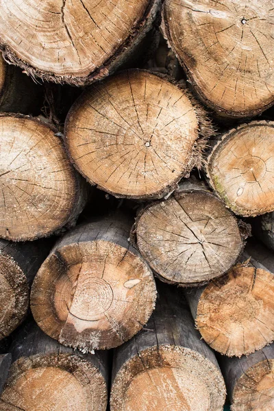 Ahşap arka plan, ahşap yüzük günlüğe kaydeder.