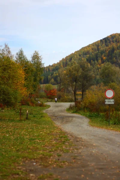 Autumn Landscape Mountains Road Fallen Leaves Colorful Trees Slopes Mountains — Stock Photo, Image