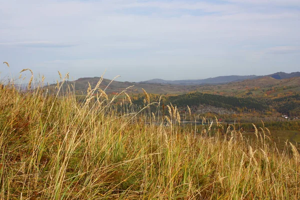 Herfst Landschap Bergen Een Zonnige Dag Gele Gras Gekleurde Bomen — Stockfoto