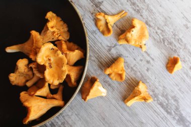 Taze chanterelles Pan ve masanın üzerinde. Seçici odak.