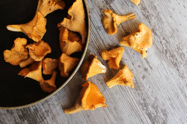 Chanterelles Fraîches Dans Poêle Sur Table — Photo