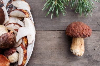 Boletus mantar ahşap eski arka plan, bir tabak, çam dalı içinde dilimlenmiş mantar yatan. Sonbahar kompozisyon