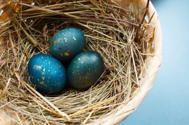 Üç mavi ve altın nokta Boyalı Paskalya yumurta saman üzerinde mavi bir arka plan ile sepet içinde. Üstten görünüm.