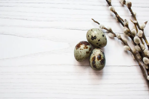 Easter Composition Flowering Willow Twigs Quail Eggs White Wooden Background — Stock Photo, Image