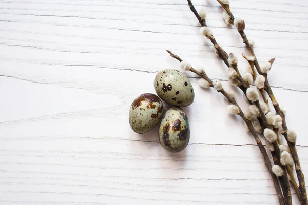 Easter Composition Flowering Willow Twigs Quail Eggs White Wooden Background — Stock Photo, Image