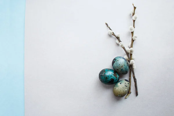 Easter Composition Flowering Willow Twigs Quail Eggs Gray Blue Paper — Stock Photo, Image