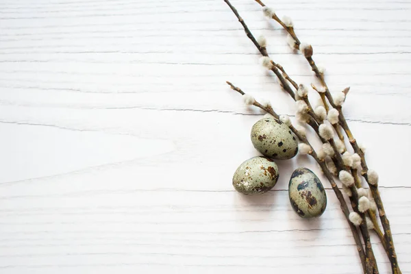 Easter Composition Flowering Willow Twigs Quail Eggs White Wooden Background — Stock Photo, Image