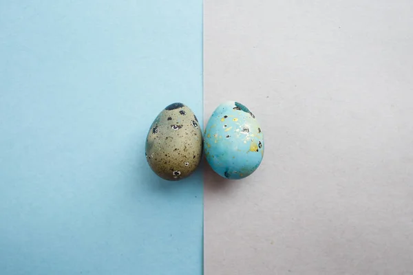 Easter composition: blue and gray quail eggs on gray and blue paper background