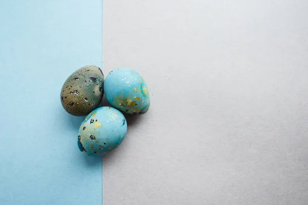Easter composition: blue and gray quail eggs on gray and blue paper background