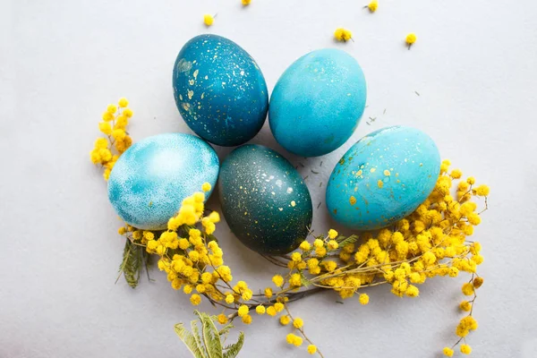Turquoise Blue Easter Egg Sprig Mimosa Gray Background — Stock Photo, Image