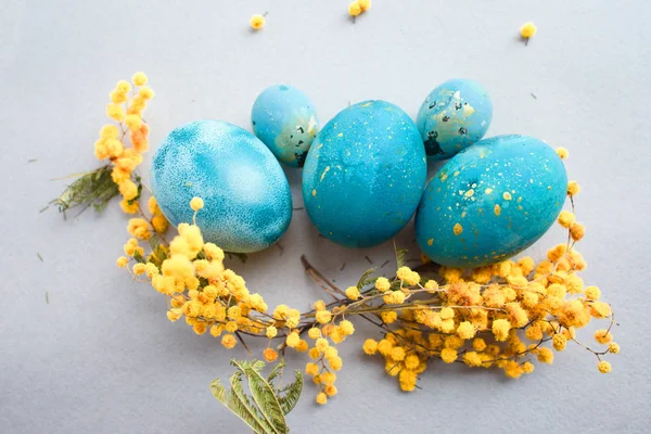 Composition of Easter eggs of turquoise color and sprigs of mimosa on a gray background