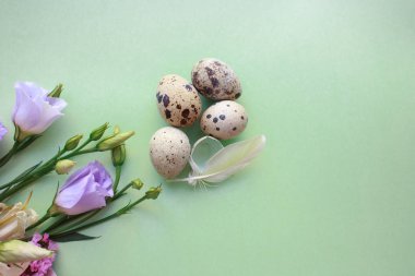 Bıldırcın yumurtası ve bir buket bahar çiçek