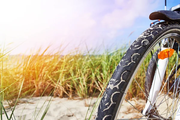 Wiel Van Fiets Toeristische Reizen Natuur Een Zonnige Dag — Stockfoto