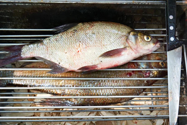 Fishes Bream Lattice Metal Smokehouse — Stock Photo, Image