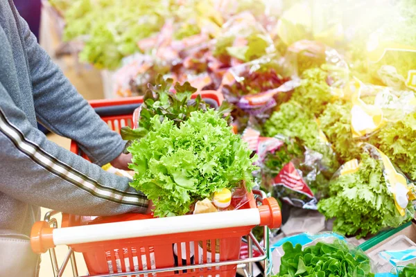 Vrouw Het Kopen Van Een Groene Verse Salade Supermarkt — Stockfoto