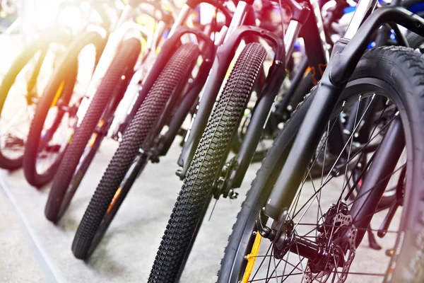 Ряд Современных Горных Велосипедов Спортивном Магазине — стоковое фото