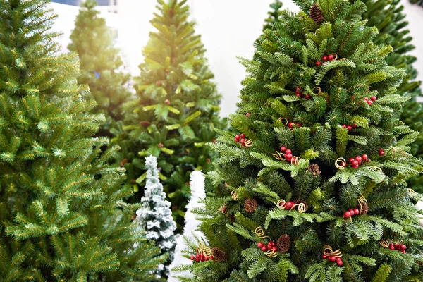 Decorative Artificial Christmas Trees Store — Stock Photo, Image