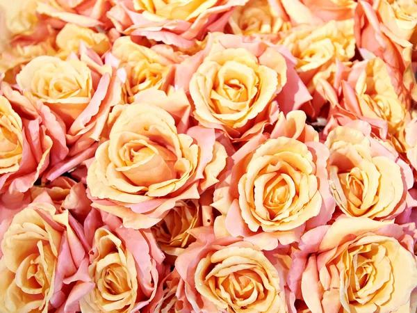 Fondo Rosa Rosa Amarilla Flores Artificiales — Foto de Stock