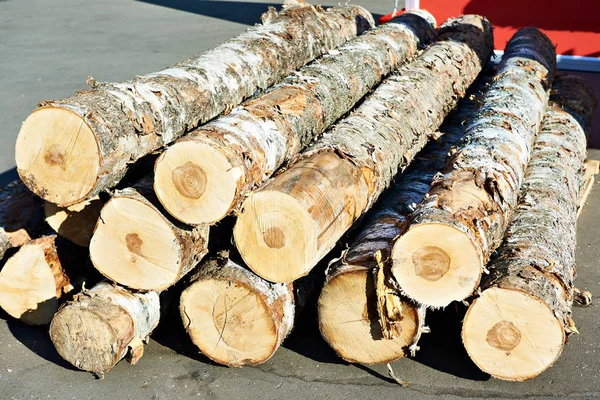 Birkenstämme Sägewerk Sonnig — Stockfoto