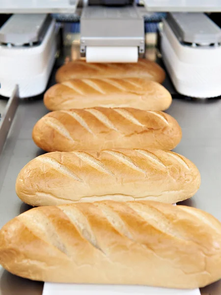 Broden van brood op transportband — Stockfoto