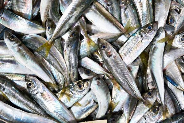 Trachurus aus dem Schwarzen Meer auf dem Markt — Stockfoto