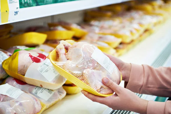 Pollo Frío Manos Del Comprador Tienda — Foto de Stock