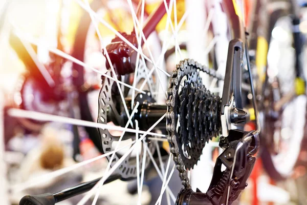 Transporte Com Corrente Traseira Roda Esportes Bicicleta Montanha — Fotografia de Stock